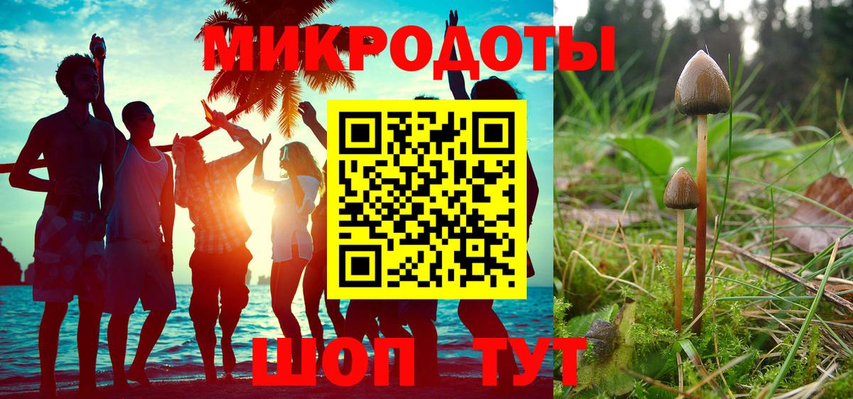 Новороссийск  Галлюциногенные грибы Psilocybe  Вход с VPN 